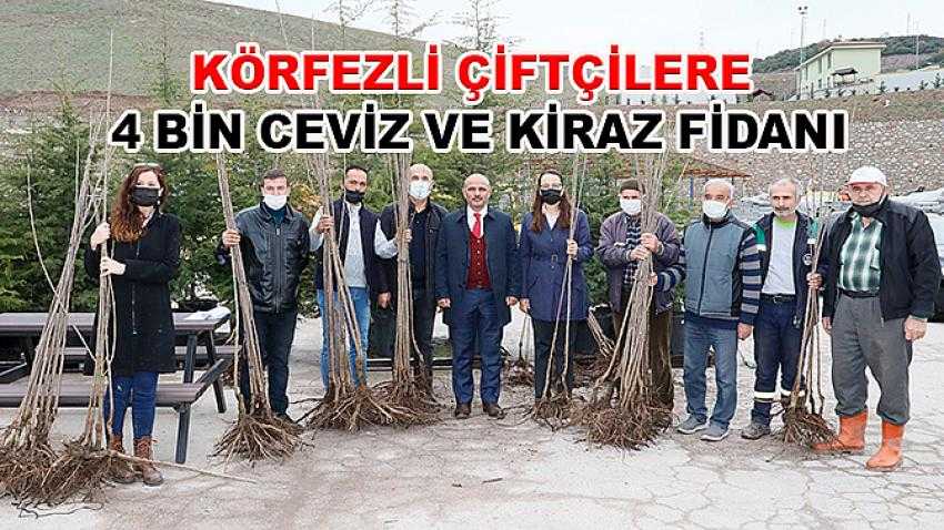 Körfezli çiftçilere 4 bin ceviz ve kiraz fidanı