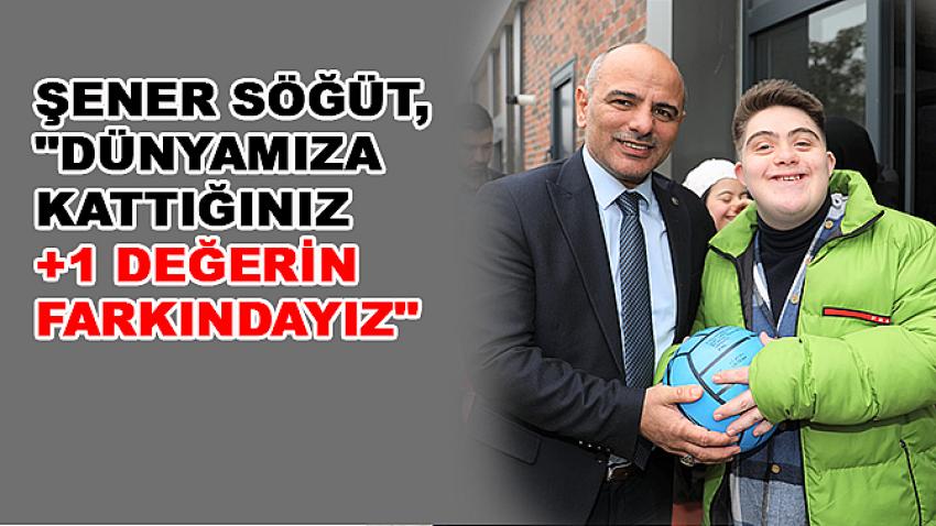 Şener Söğüt, 