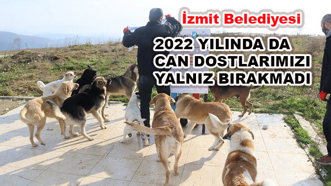 İzmit Belediyesi 2022 yılında da can dostlarımızı yalnız bırakmadı