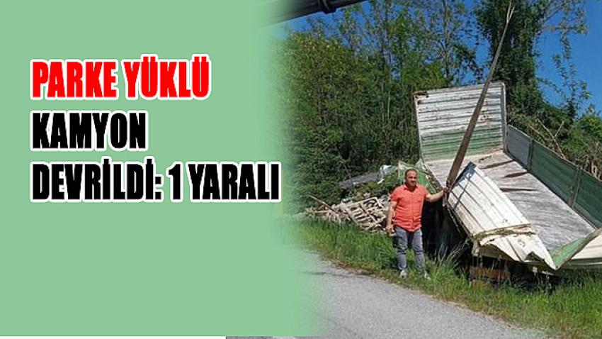 Parke yüklü kamyon devrildi: 1 yaralı
