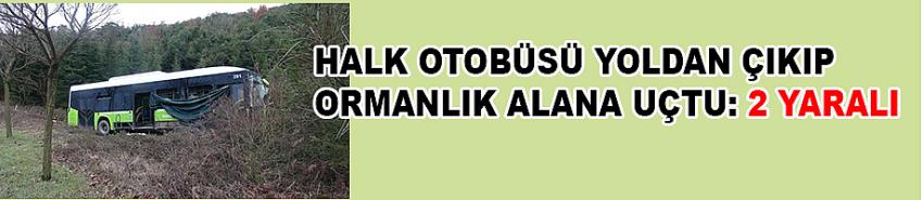 Halk otobüsü yoldan çıkıp ormanlık alana uçtu: 2 yaralı